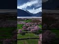 Spring season of Skardu City now #gilgitbaltistan