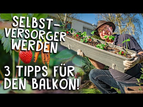 Video: Essbare Gartenideen im Inneren: Anbau von Obst, Gemüse und Kräutern im Innenbereich