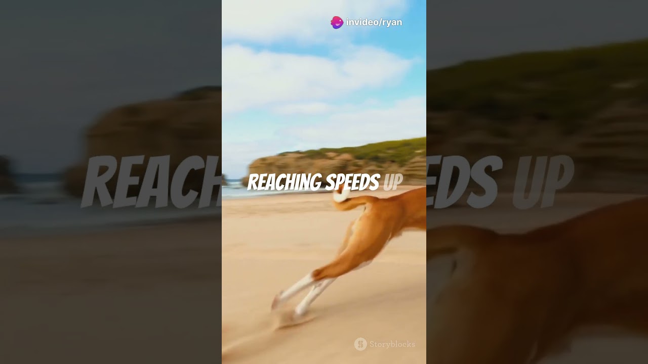 Pawsome Dog Facts You Didn't Know! 🐾