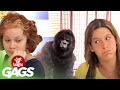 Only at the Mall | Just For Laughs Compilation