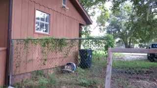 4911 E Regents Ave Tampa FL 33617