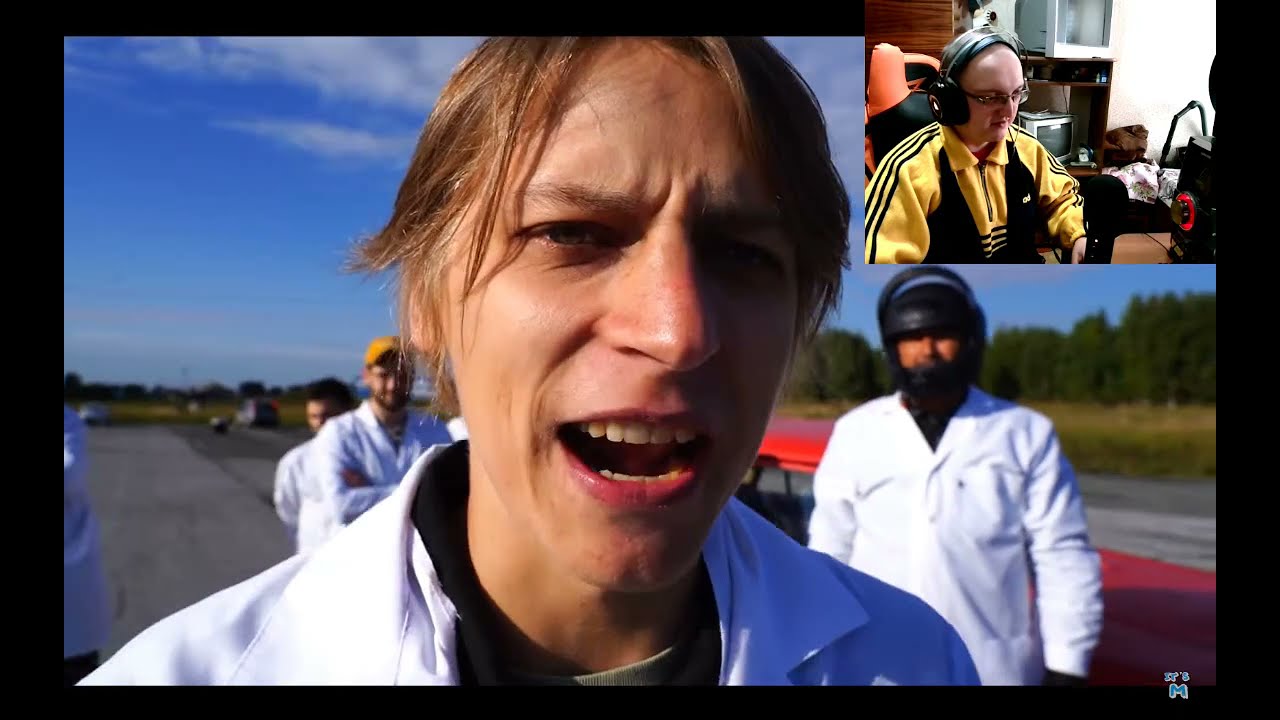 Пчела залетела в машину