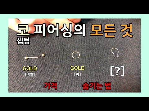 셉텀 코 피어싱의 모든 것 - 가격, 페이크(가짜) 링, 숨기는 법 등 꿀팁s