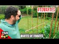 VUELVO DE VACACIONES Y ME ENCUENTRO CON ESTO! #TOMARTES Episodio 12