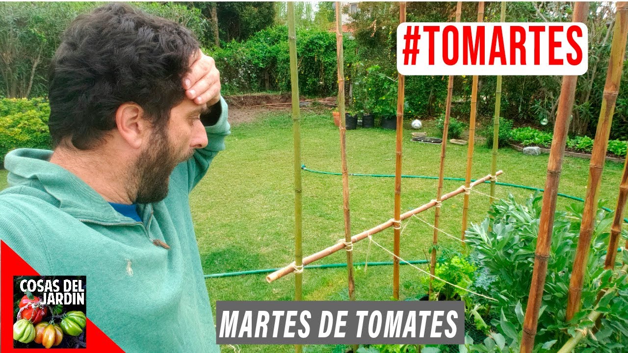 VUELVO DE VACACIONES Y ME ENCUENTRO CON ESTO! #TOMARTES Episodio 12