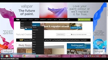 The Sims- Downloading TSR on PC