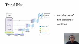 Review of Deep Learning Models for Spine MRI Segmentation