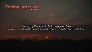 [VIETSUB] COMING UP ROSES - HARRY STYLES