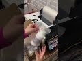 DTF Printer Beginner Series Pt2 🖨️🖤 #shorts