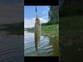 Let’s go fishing #electric boat #mini jet boat #fishing