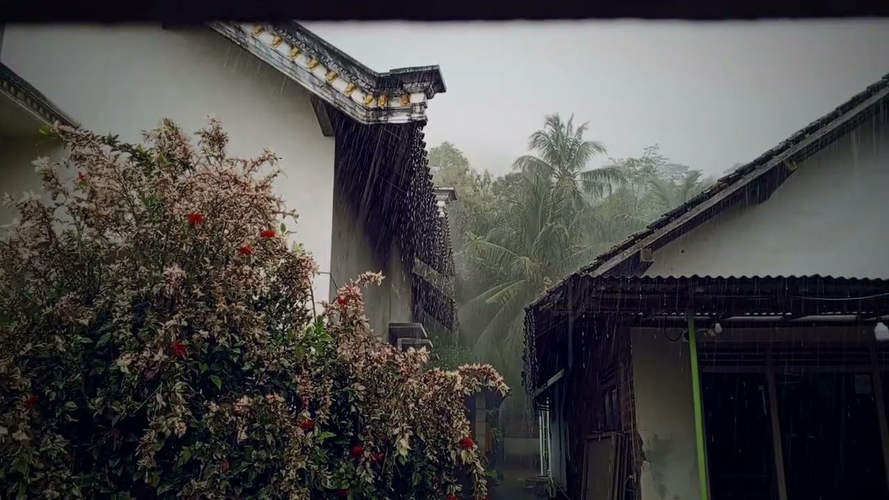 Gentle Rain at Night for Sleep 🌧 3 Hours Pure Rain Audio, Camera Shake