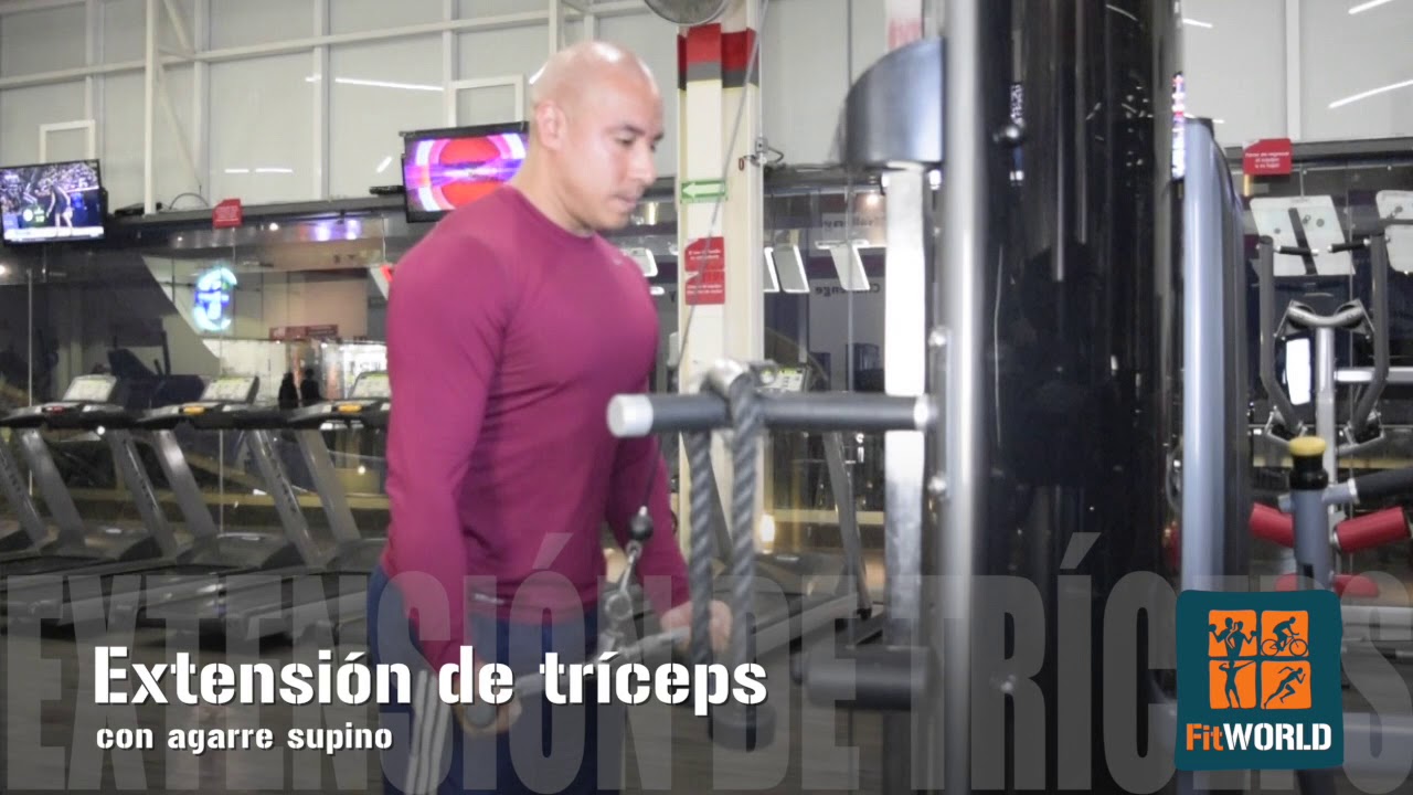 FLBTY AGARRE POLEA GYM, BARRA TRICEPS, MANIJA PARA TIRAR HACIA ATRÁS EN EL  PECHO, LA MANIJA