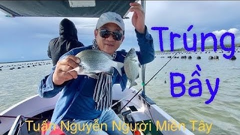 Một ngày câu cá bội thu ở cửa biển rừng sát cần giờ với cá hanh (tráp) và cá ngát…