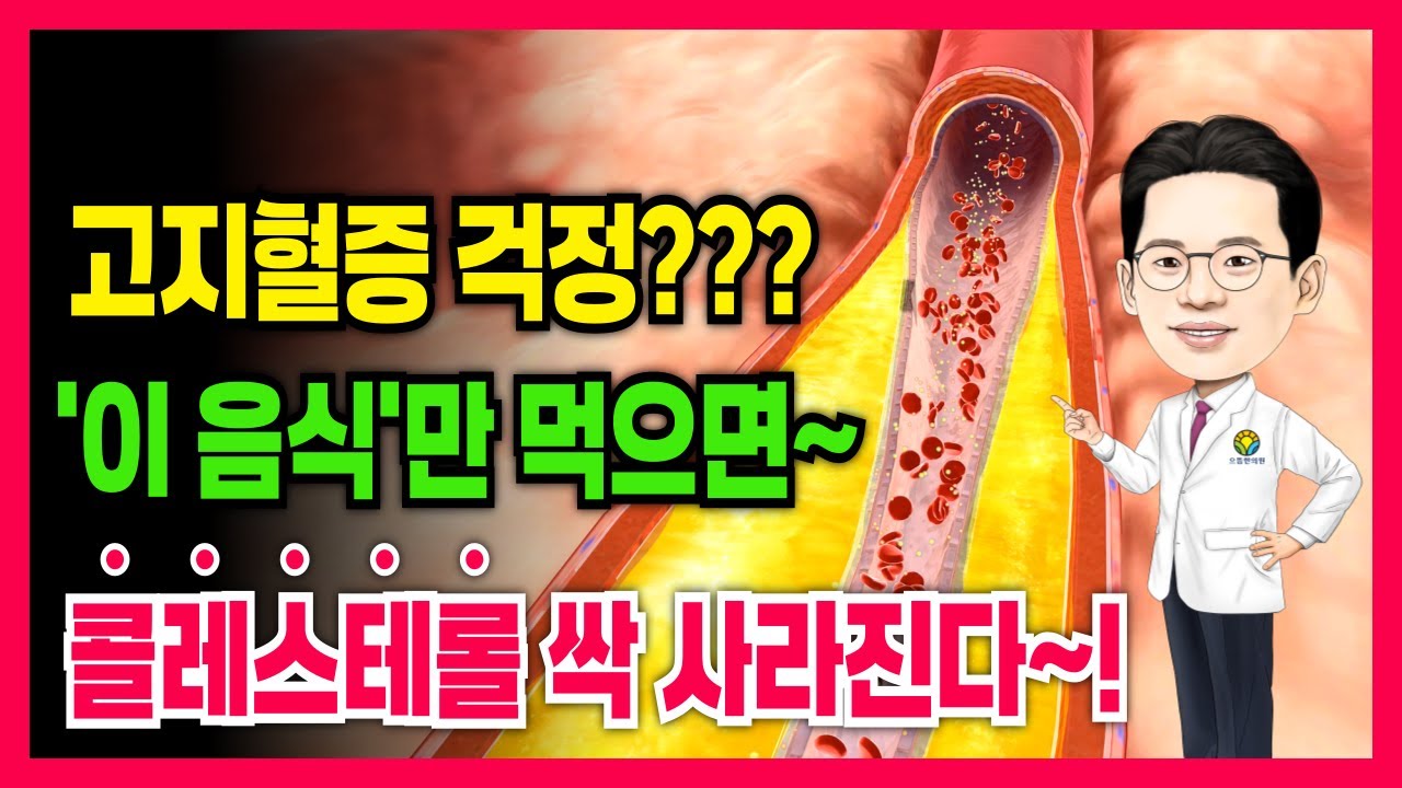 고지혈증에좋은음식 중성지방 LDL 콜레스테롤 낮추는 방법 음식 식단
