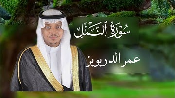 سورة النمل عمر الدريويز | مكتوبة