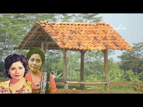 TATI SALEH - SETRA, KINANTI KAUM