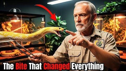 The TERRIFYING Last Moments of a Snake Keeper