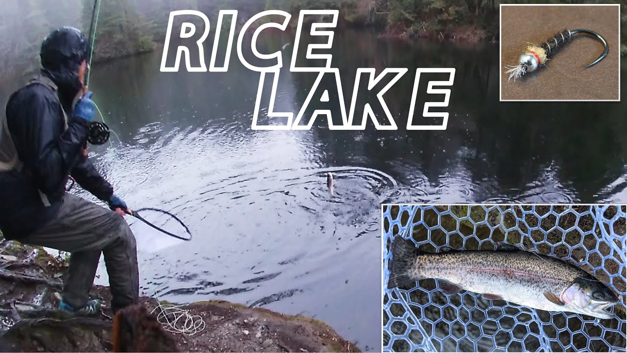 Rice Lake Fly Fishing for Freshly Stocked Rainbow Trout [North