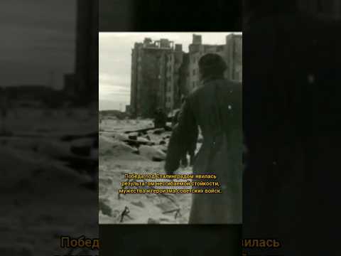 Цена победы в Сталинграде #shorts