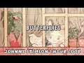 彡🦋 Butterflies by Johnny Stimson 조니 스팀슨 1 hour loop ( with lyrics )