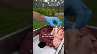 Information How to make your own burgers Guide