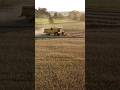 Getreide Ernte/ Deutz Fahr und New Holland Youngtimer