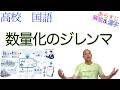 数量化のジレンマ【現代の国語】教科書あらすじ&解説&漢字〈筒井 淳也〉第一学習社