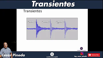 ¿Cómo se escribe transientes?