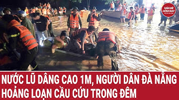 Nước lũ dâng cao 1m, người dân Đà Nẵng hoảng loạn cầu cứu trong đêm