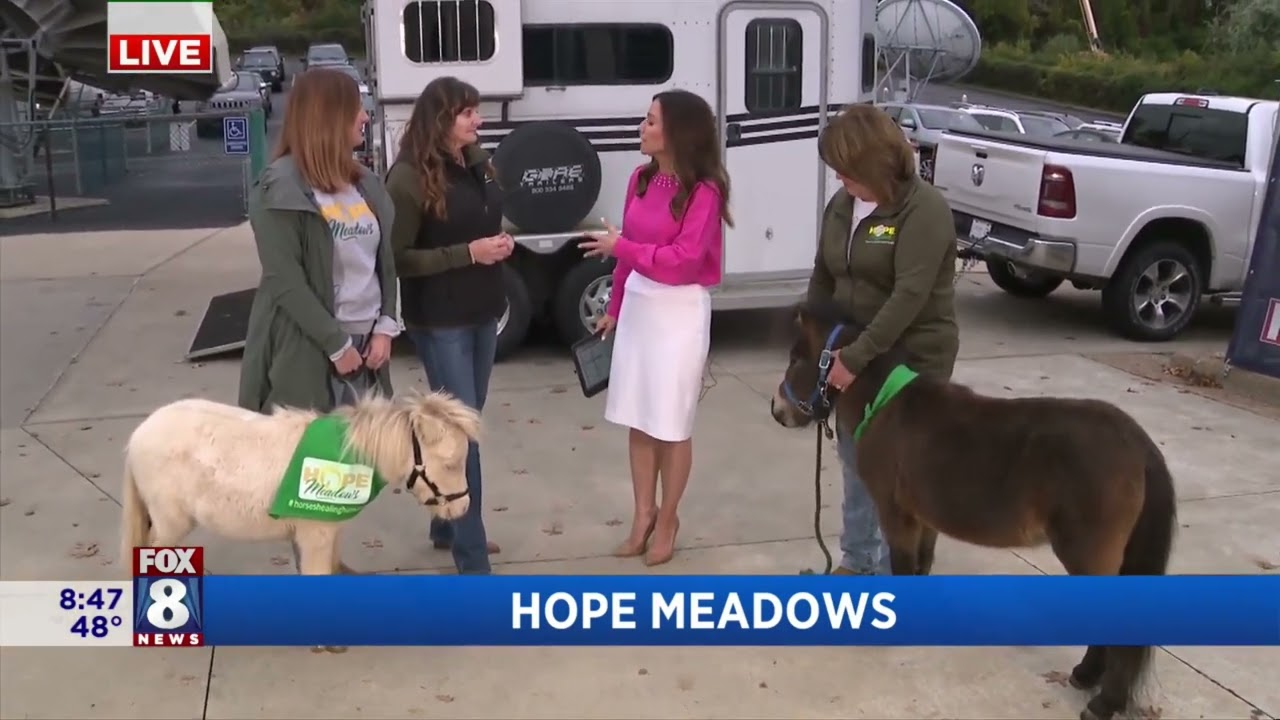 FOX 8 NEWS Cleveland Healing Through Horses Is How Hope Meadows Changes Lives