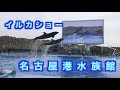 名古屋港水族館〜イルカショー〜 の動画、YouTube動画。