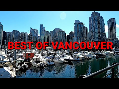 Video: Tempat Teratas untuk Teh Sore di Vancouver