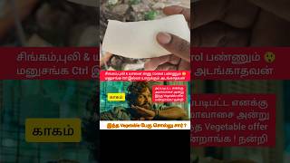 செடியில் வளரும் Vegetable ? 🤔💬 #shorts #amavasai #food #vegetable #whitepumpkin #pumpkin #meme