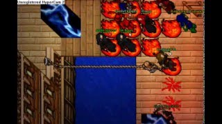 Life of a Tibia Pker
