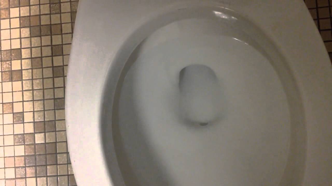 Powerful 1980's American Standard Cadet flushometer toilet YouTube