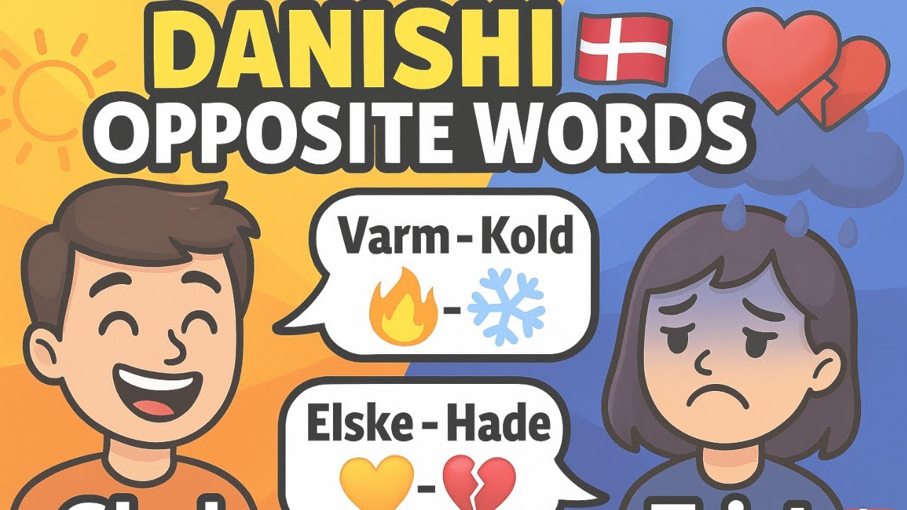 Learn 23 Danish Opposite Words with Examples | Danish Vocabulary for Beginners 🇩🇰