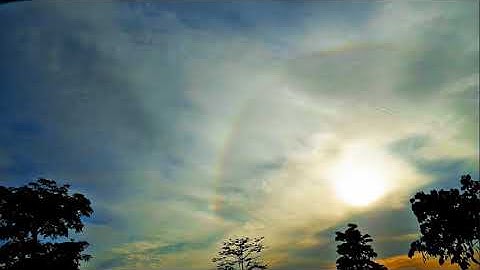 تلاوة  جميلة بقمة العذوبة  تُرقق القلوب