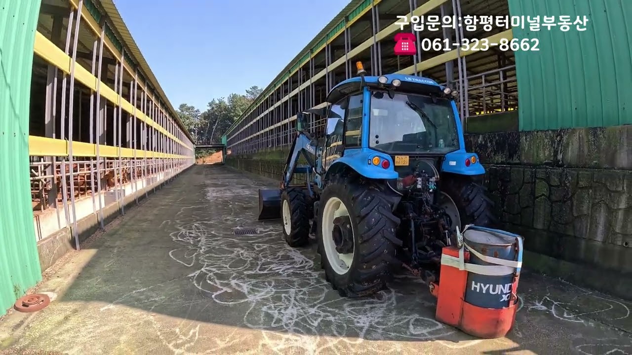 함평축사매매,함평군축사매매,함평읍자풍리축사매매합니다.함평한우농장매매 함평한우축사매매합니다.전라남도함평군한우농장매매합니다.