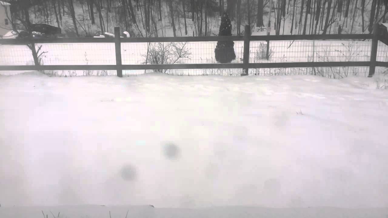 Winter Storm Jonas Time Lapse - Princeton, WV - YouTube