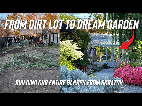 This Backyard Was a DISASTER, But 365 Days Later…