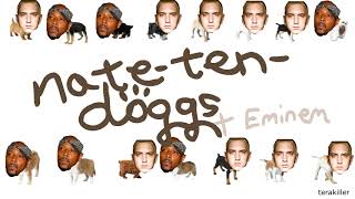 Nate-ten-Doggs + Eminem