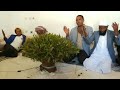 sheikh Abdosh Alliyi rakko.jimma.umaata.kenyaa.hasoowa.tasisaani.qooda.fudha Mp3 Song