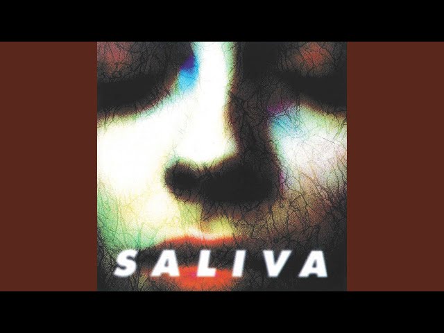 Saliva - Pin Cushion