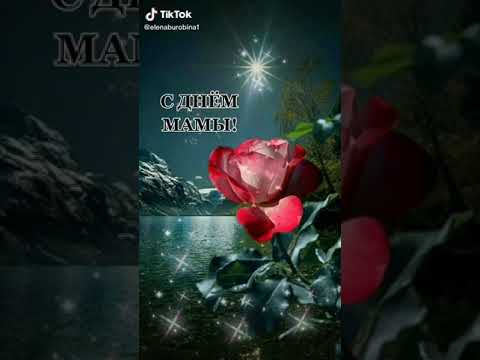 Мама. Кто не любит Маму- тот калека...
