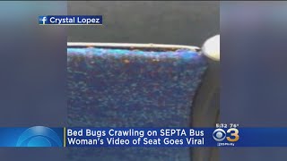 SEPTA Speaking Out After Bed Bugs Discovered On Bus