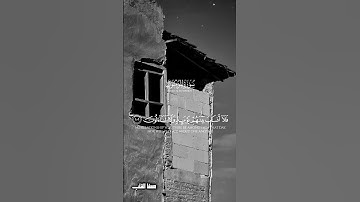 تلاوة  خاشعة | سورة المؤمنون | حسام عبد الباقي