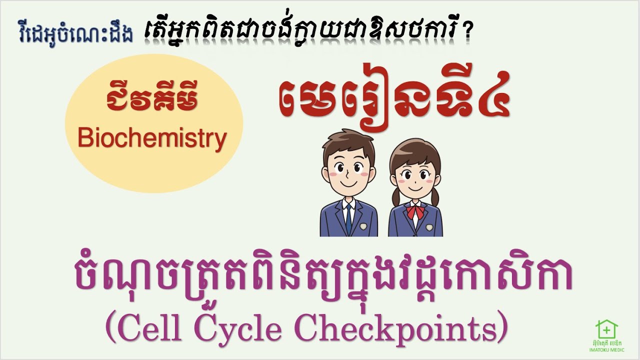 ជីវគីមី [4] ចំណុចត្រួតពិនិត្យក្នុងវដ្ដកោសិកា (Biochemistry4 Cell
