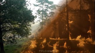 forest fire VFX