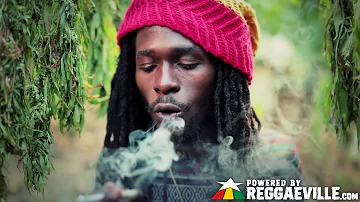 Jesse Royal - Gimmie Likkle / Finally [Official Video 2015]