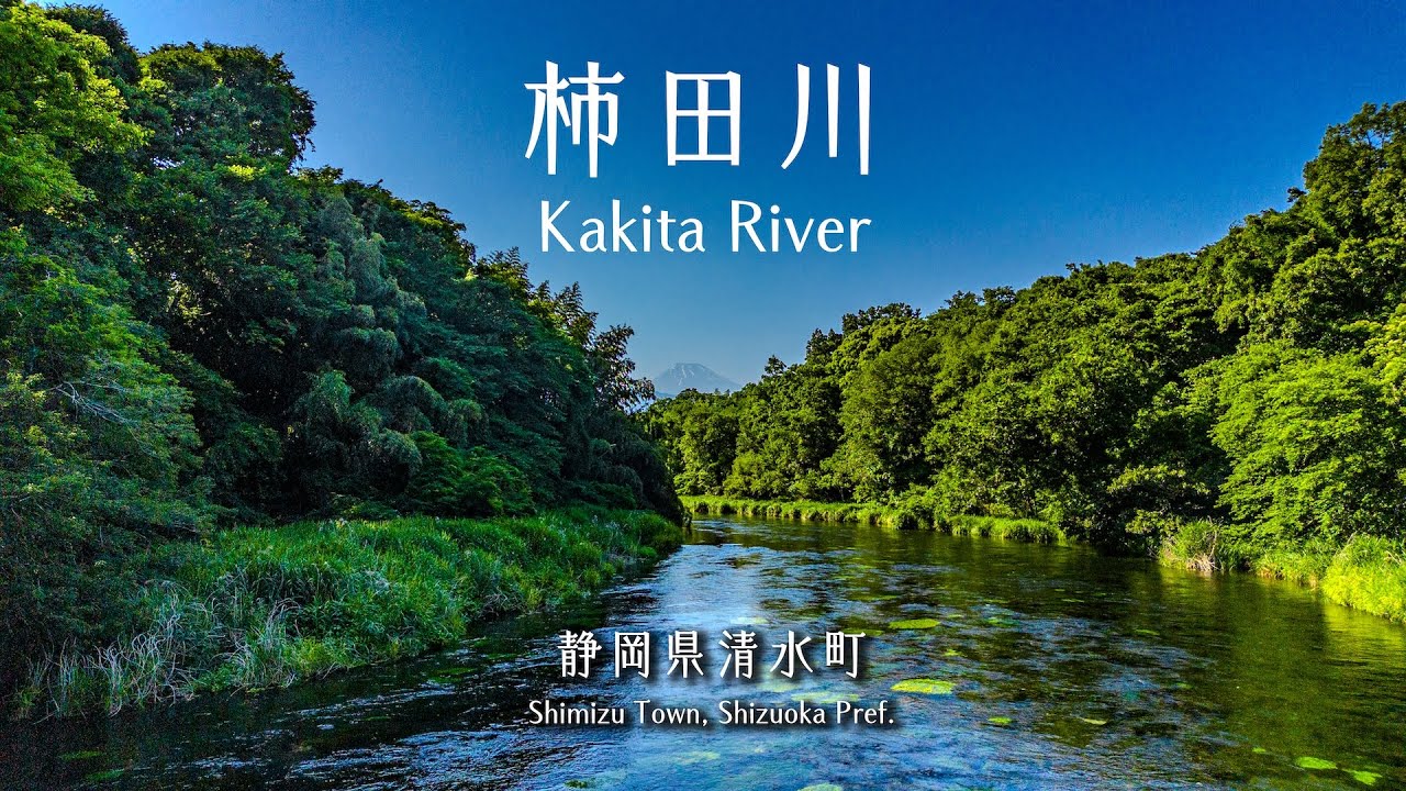 【日本三大清流】 柿田川 | Kakita River - 静岡県清水町 | Shimizu Town, Shizuoka Prefecture, Japan 【4K】